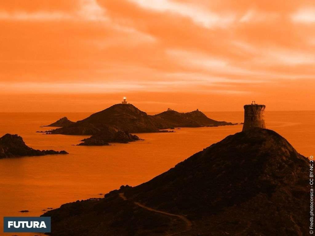Oliveraie D'Olmiccia المظهر الخارجي الصورة