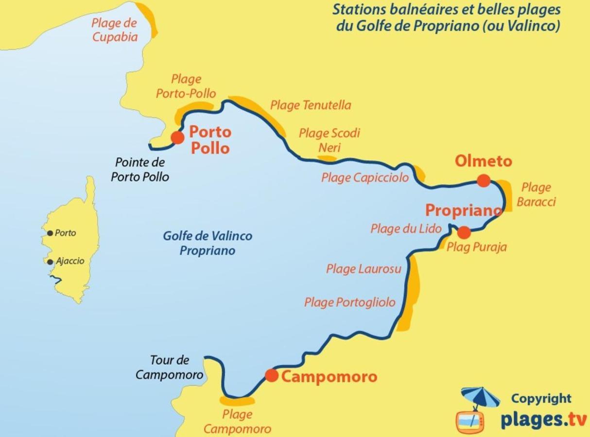 Oliveraie D'Olmiccia المظهر الخارجي الصورة